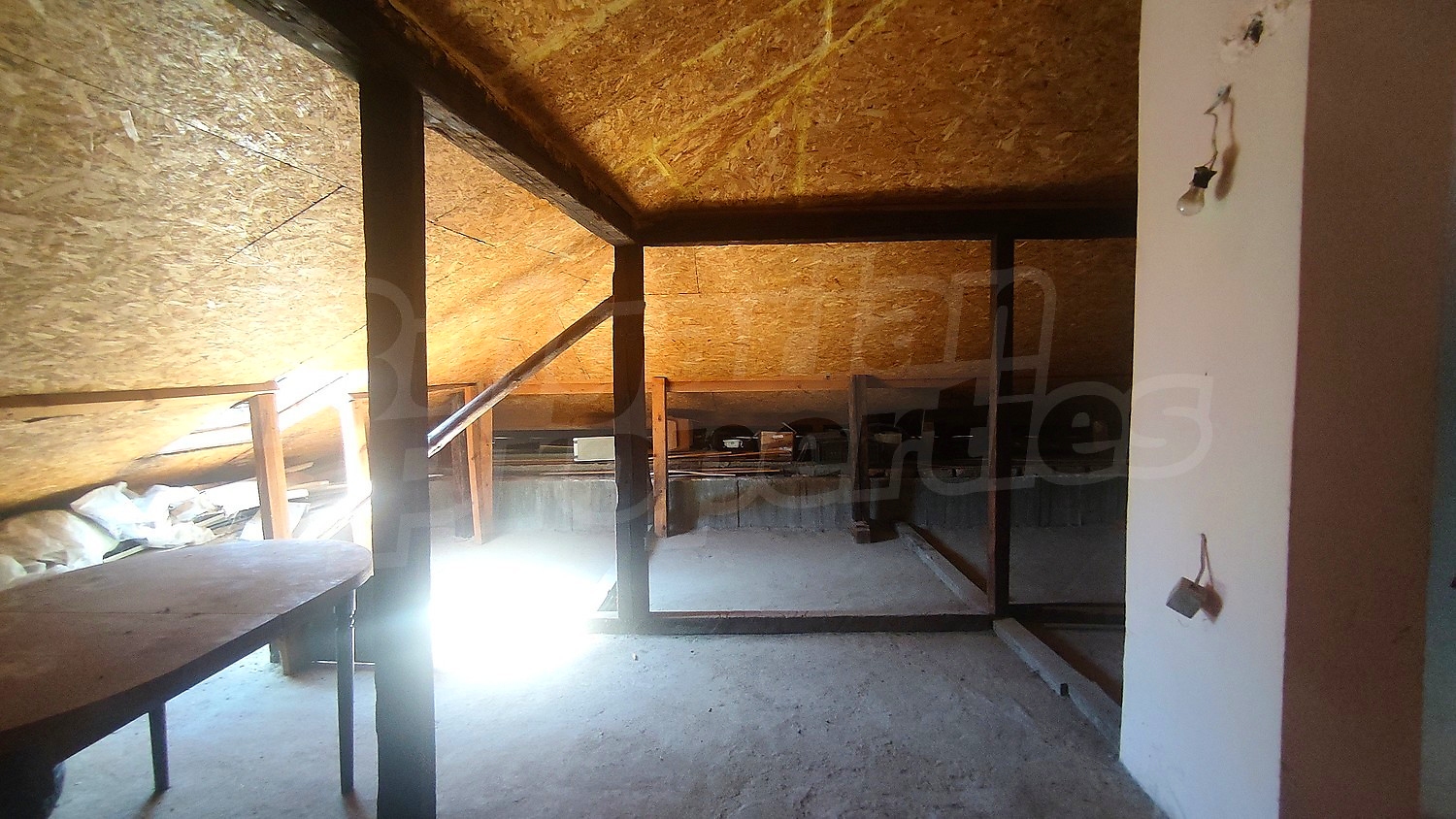 Gallery Picture 31