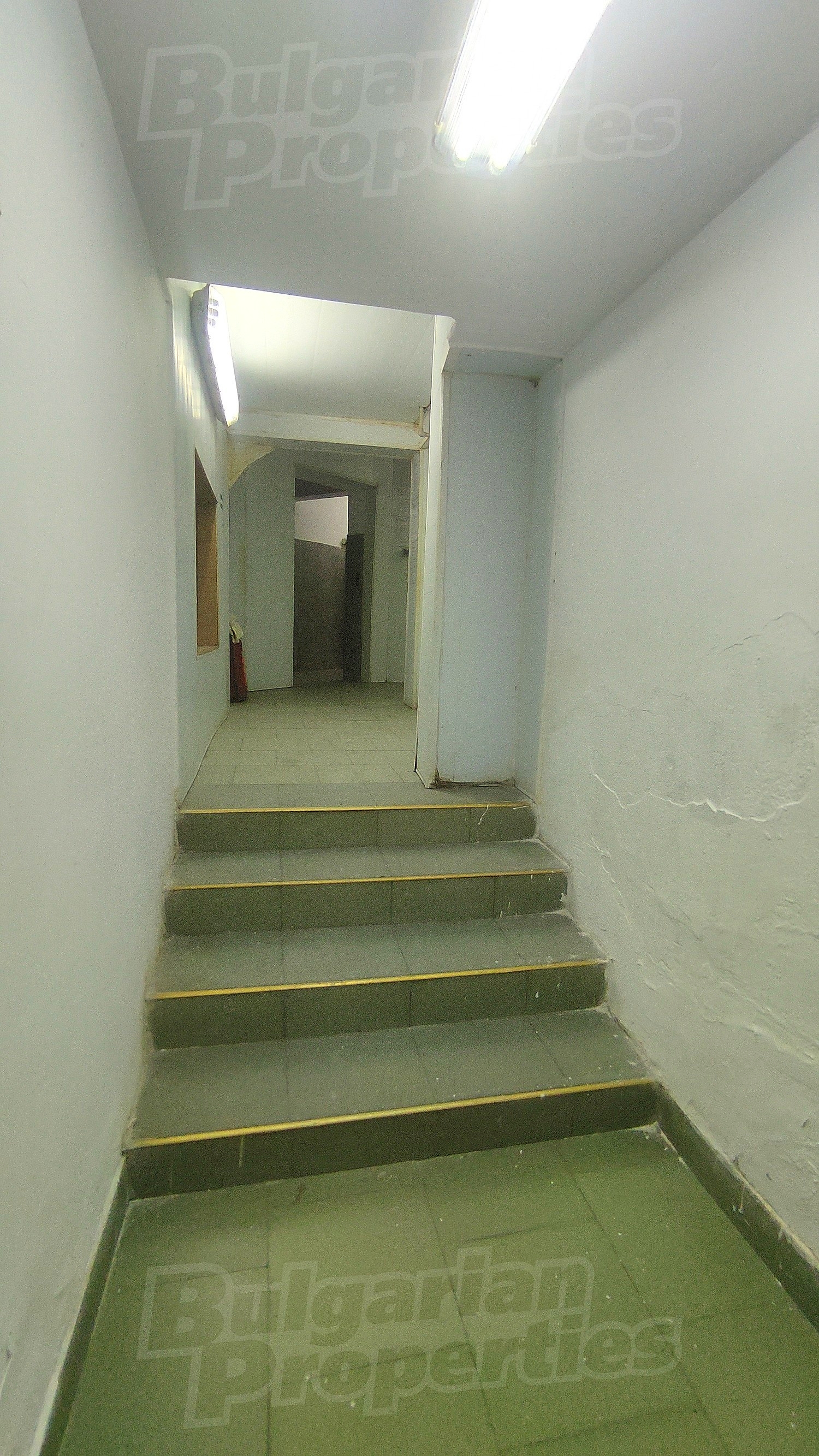 Gallery Picture 8