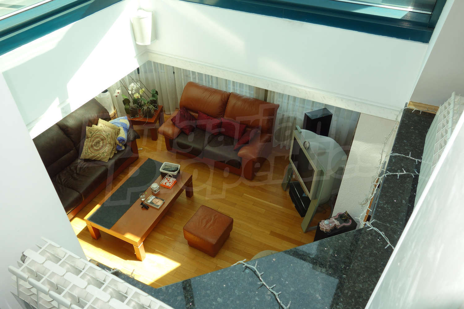 Gallery Picture 19