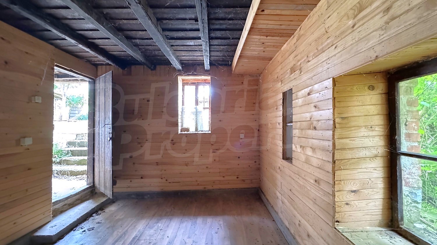 Gallery Picture 19