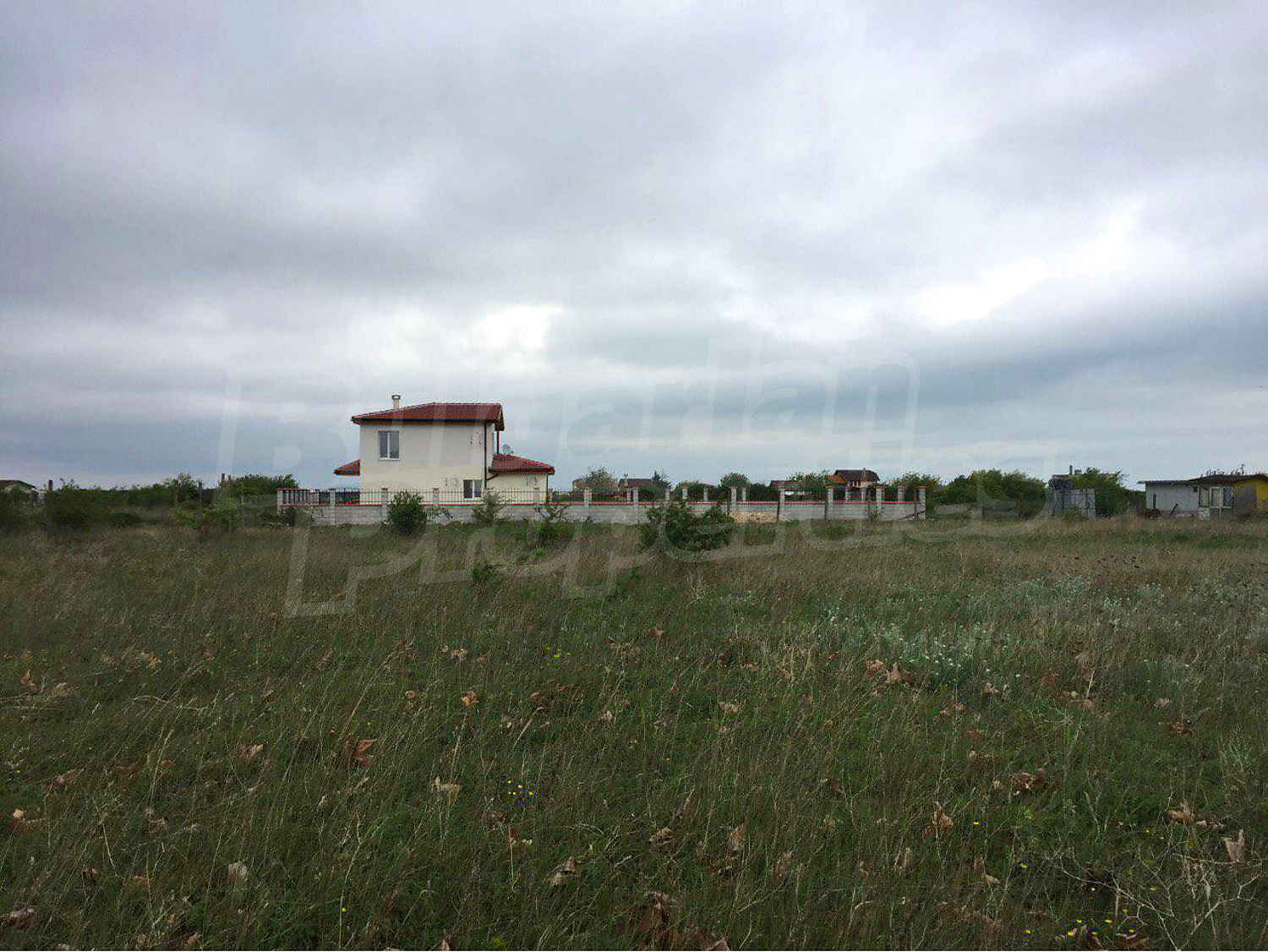 Gallery Picture 10