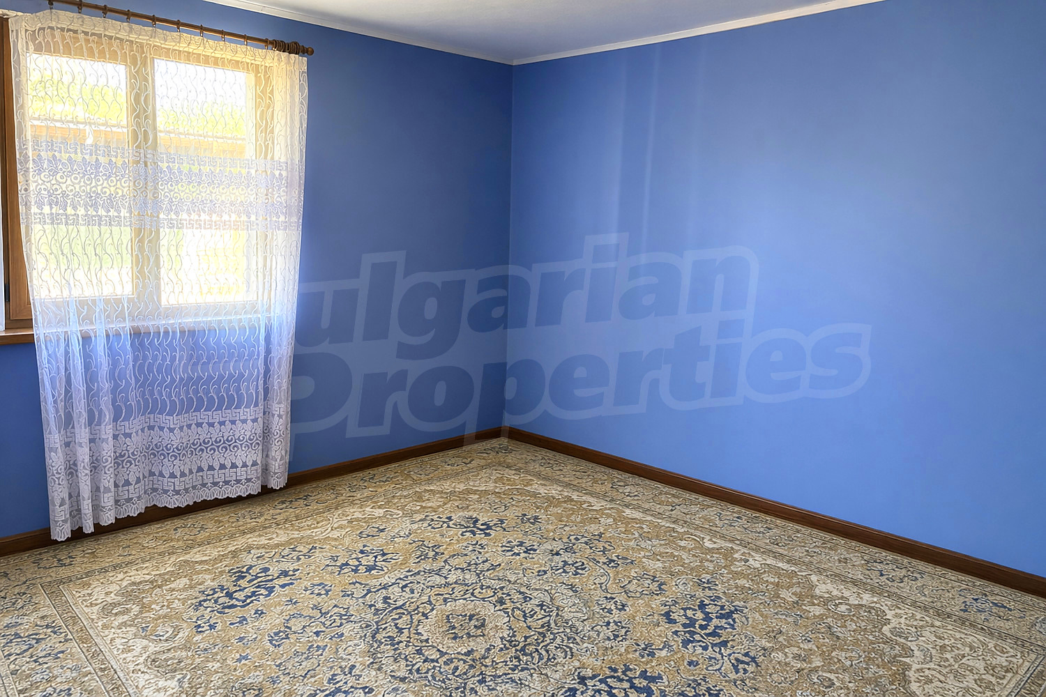 Gallery Picture 5