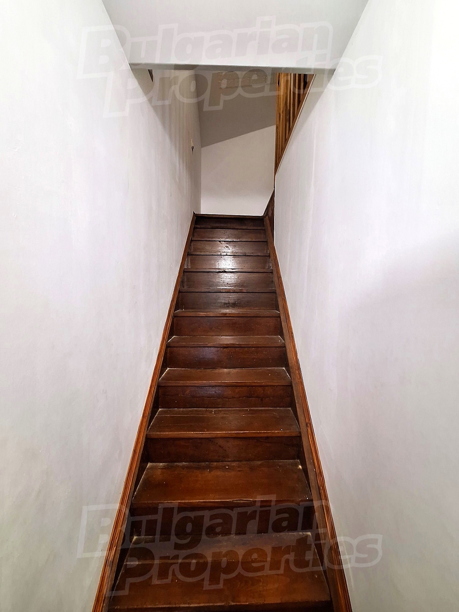 Gallery Picture 16