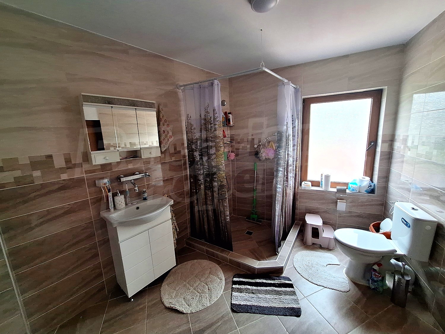 Gallery Picture 12
