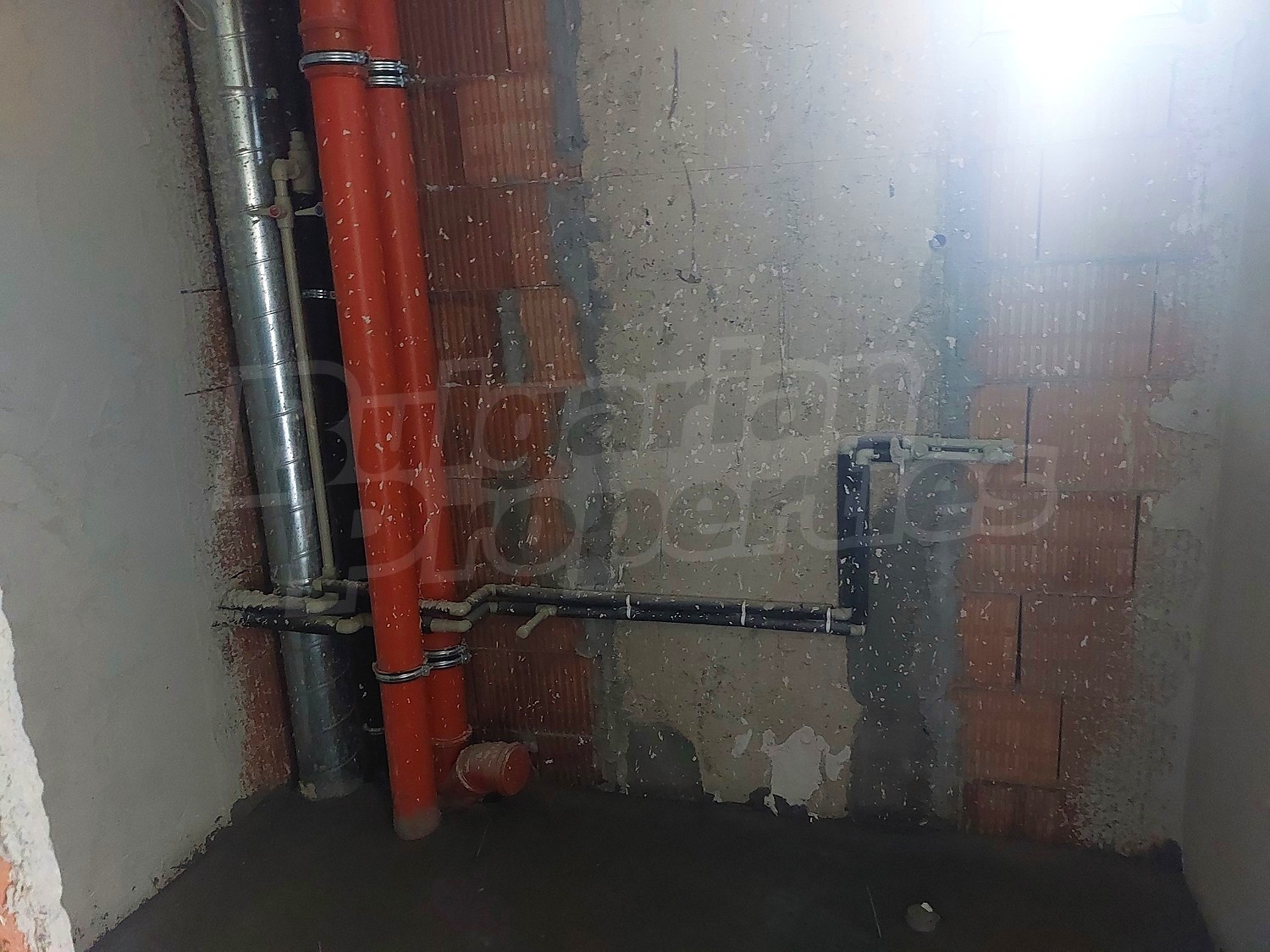 Gallery Picture 19
