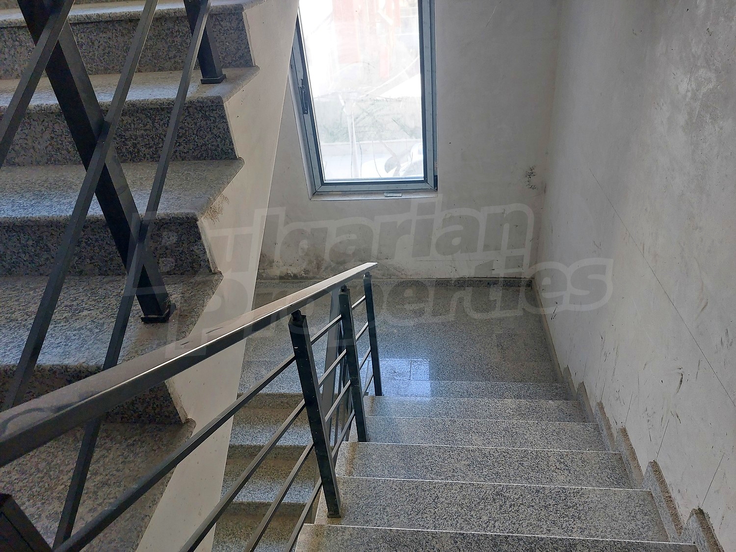 Gallery Picture 12
