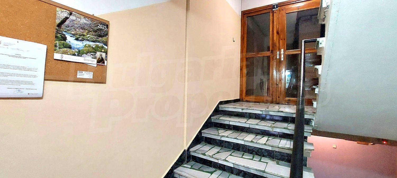 Gallery Picture 26