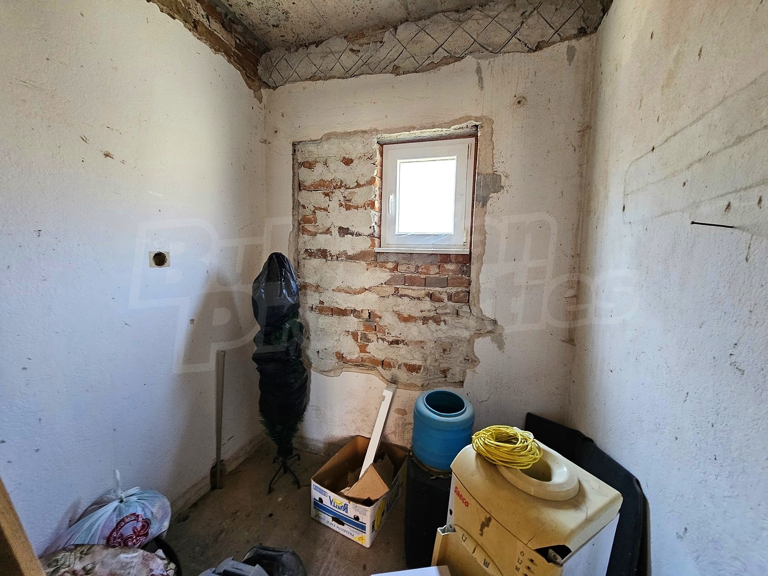 Gallery Picture 28