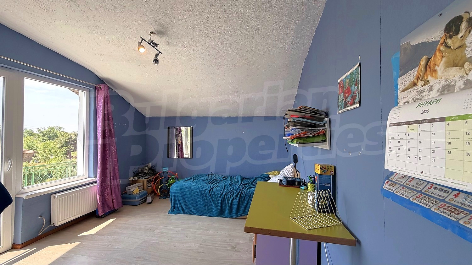 Gallery Picture 40