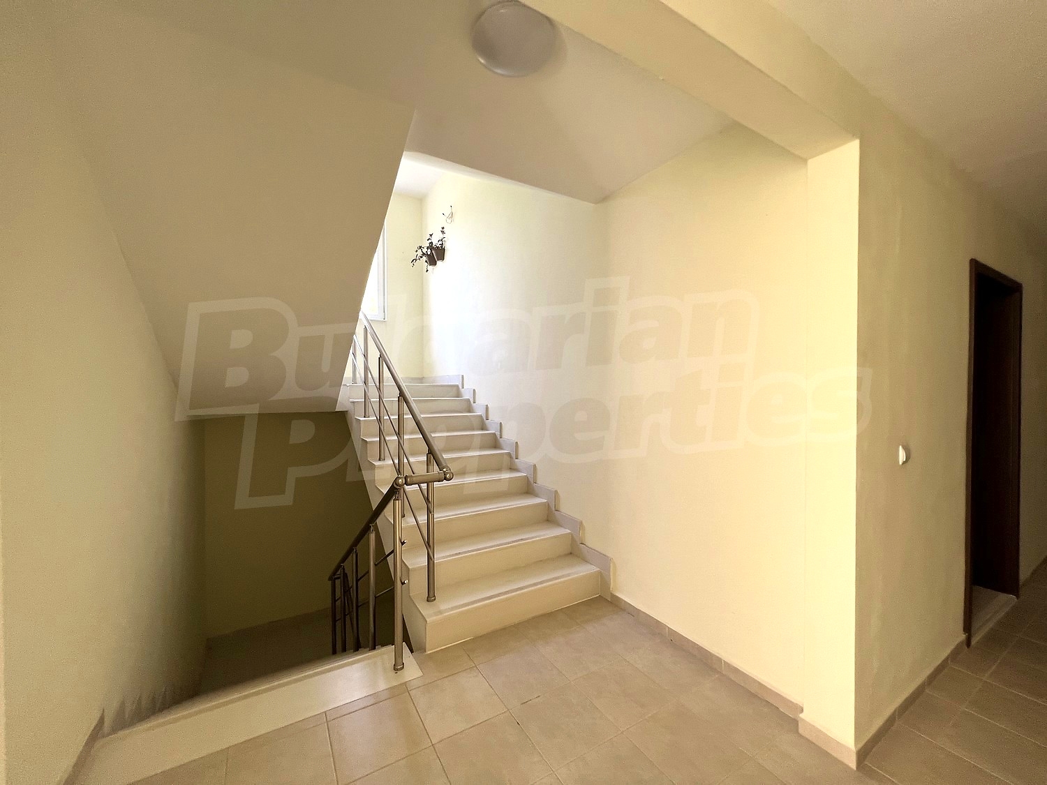Gallery Picture 13