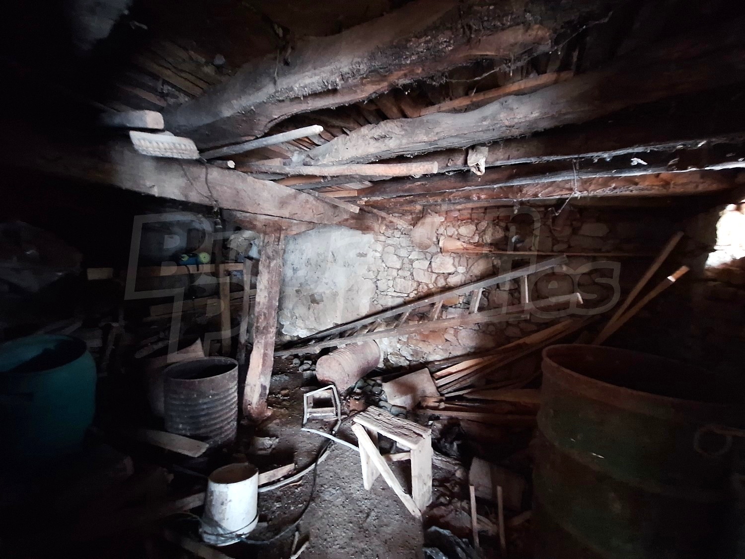 Gallery Picture 16