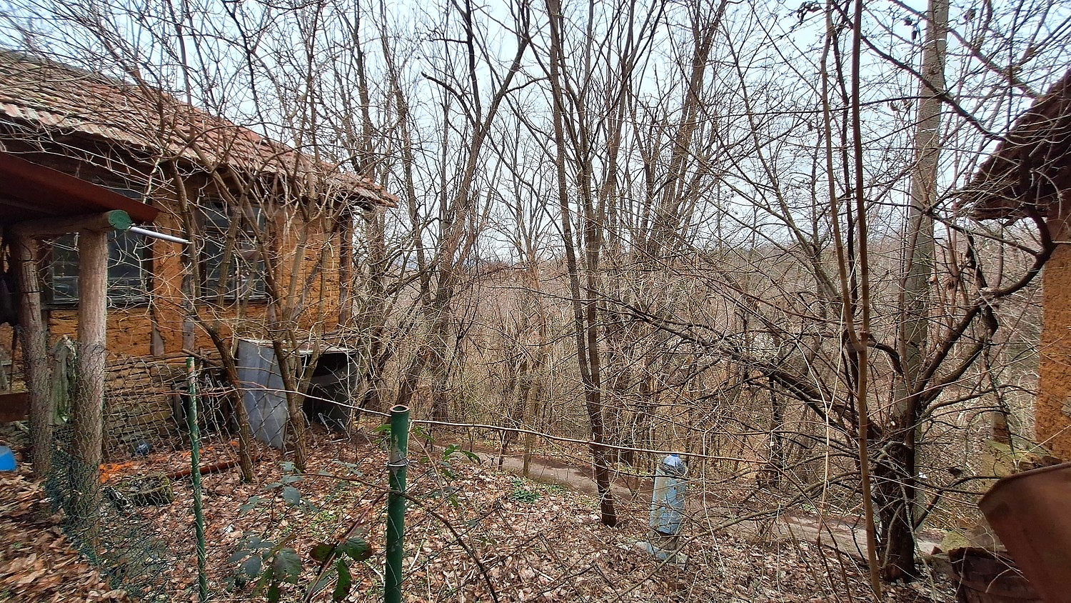 Gallery Picture 6
