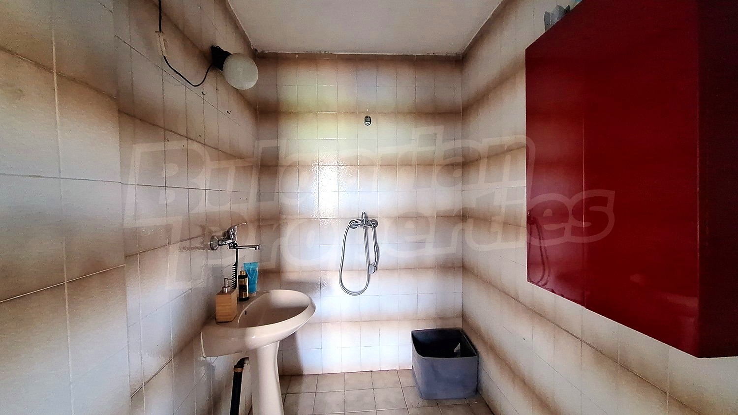 Gallery Picture 34