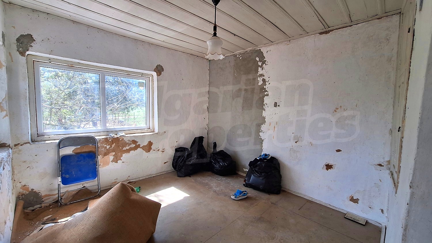 Gallery Picture 11