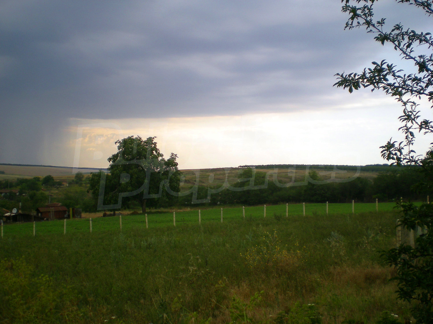 Gallery Picture 10