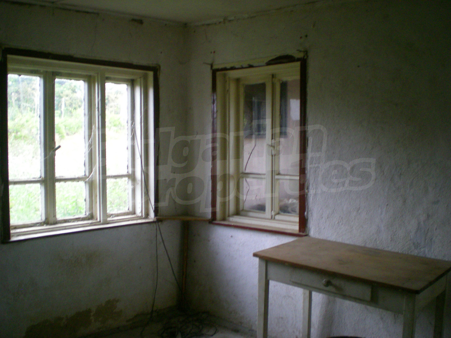 Gallery Picture 14