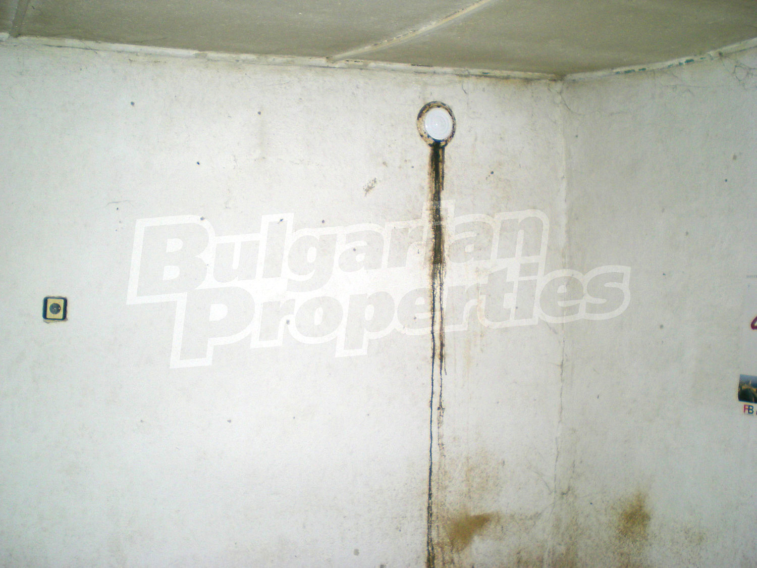 Gallery Picture 15