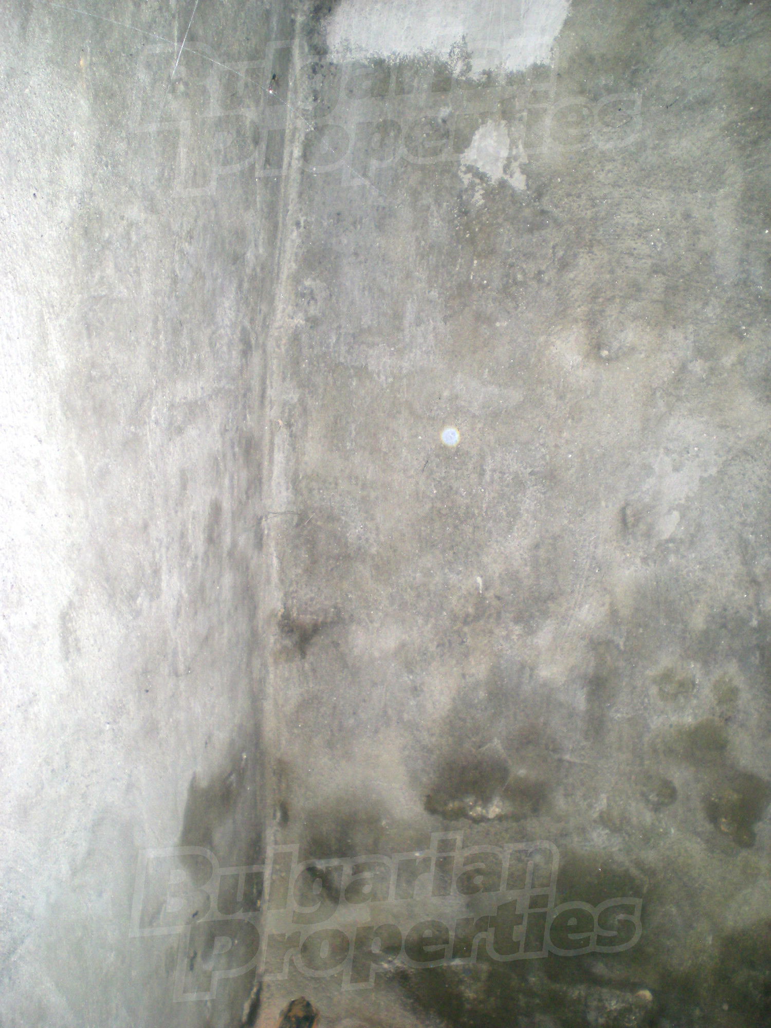 Gallery Picture 17