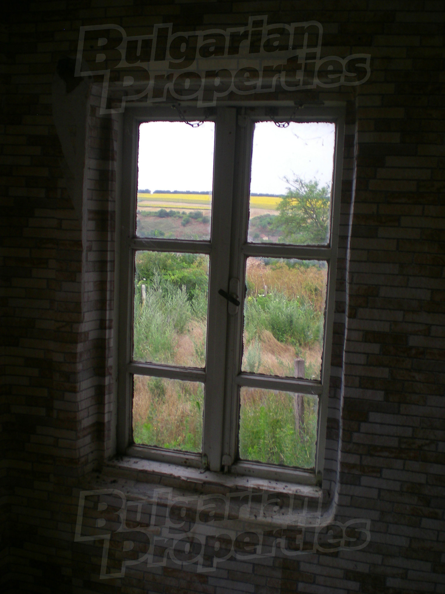 Gallery Picture 22