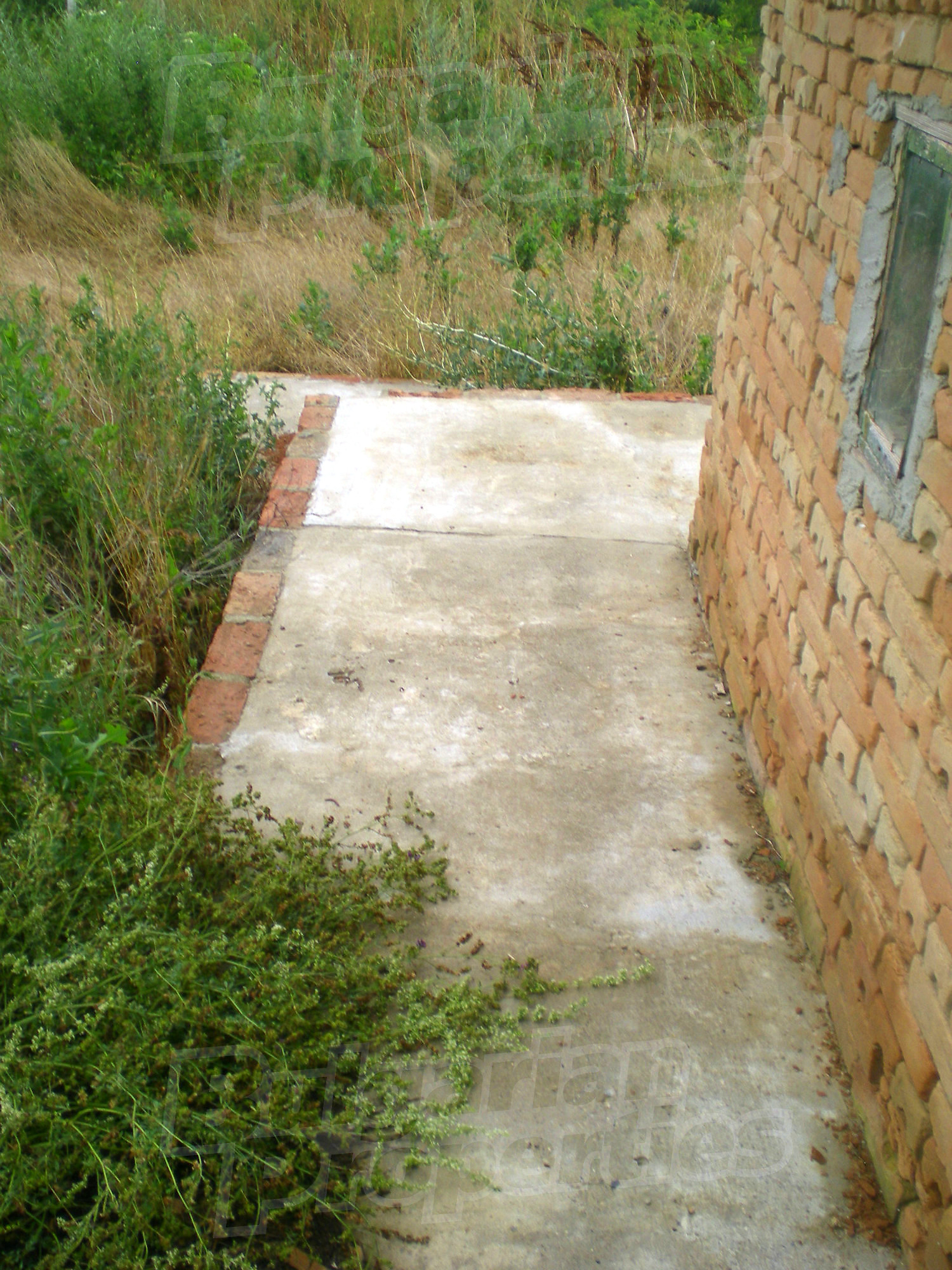 Gallery Picture 27