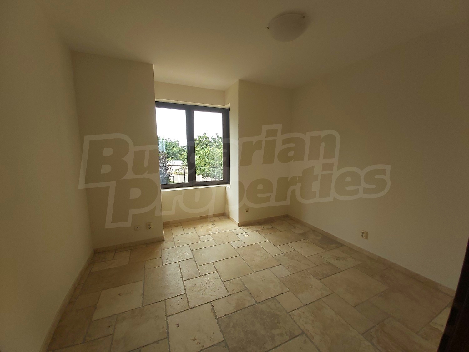 Gallery Picture 16