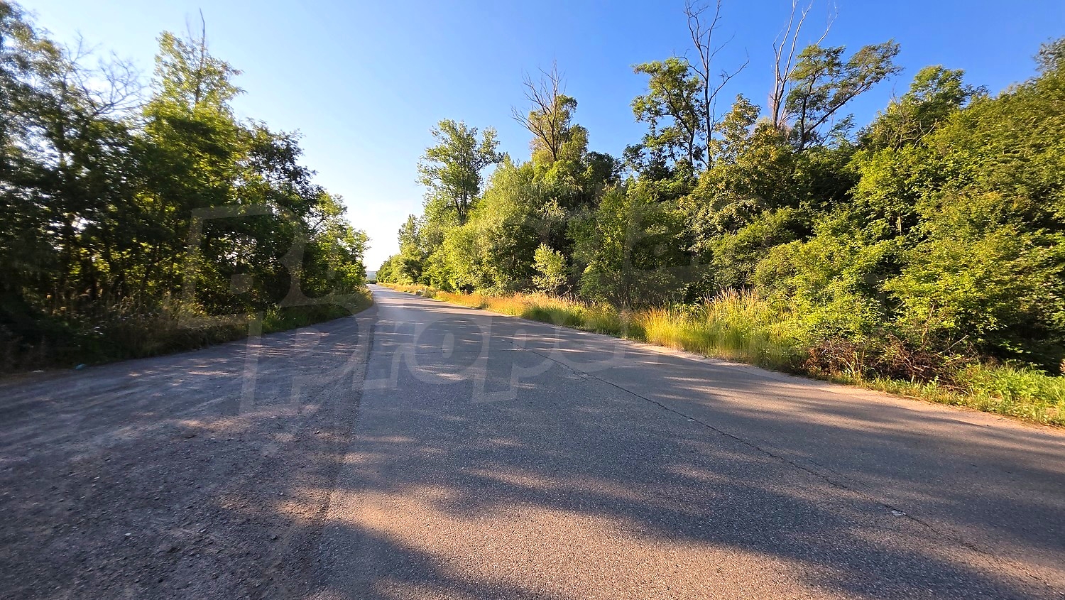 Gallery Picture 6