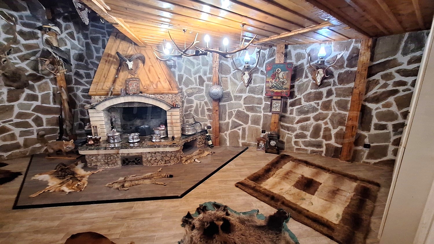 Gallery Picture 49