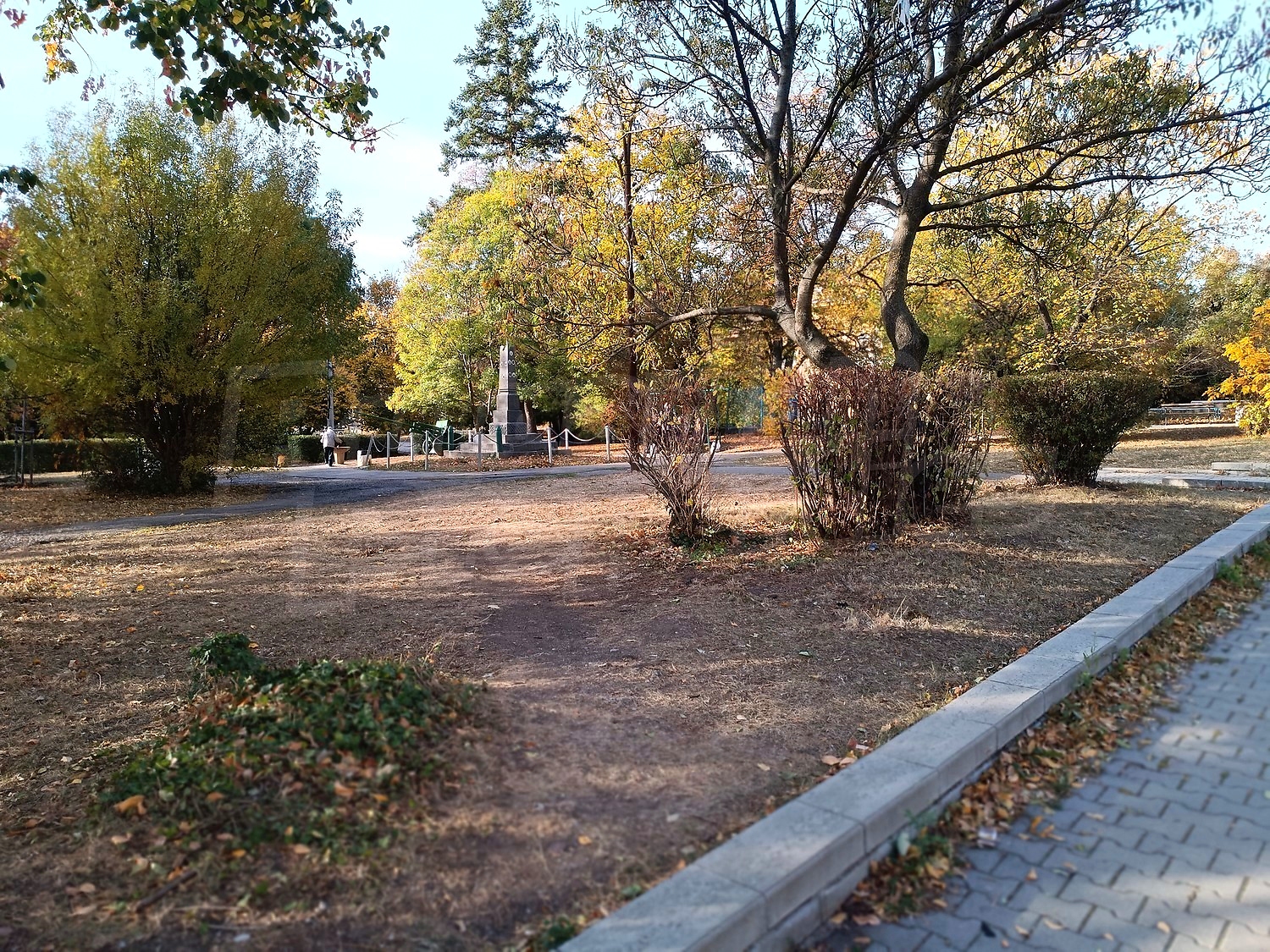 Gallery Picture 13