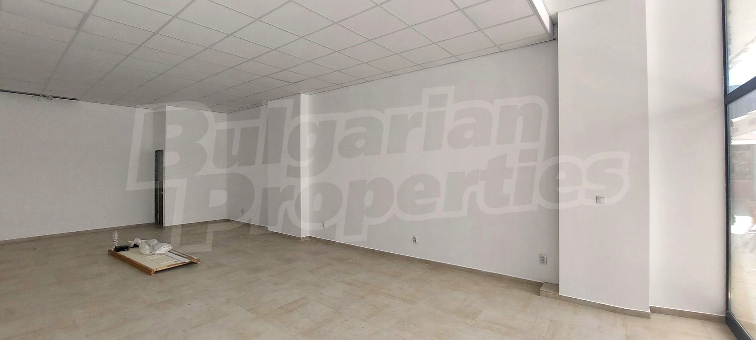 Gallery Picture 4