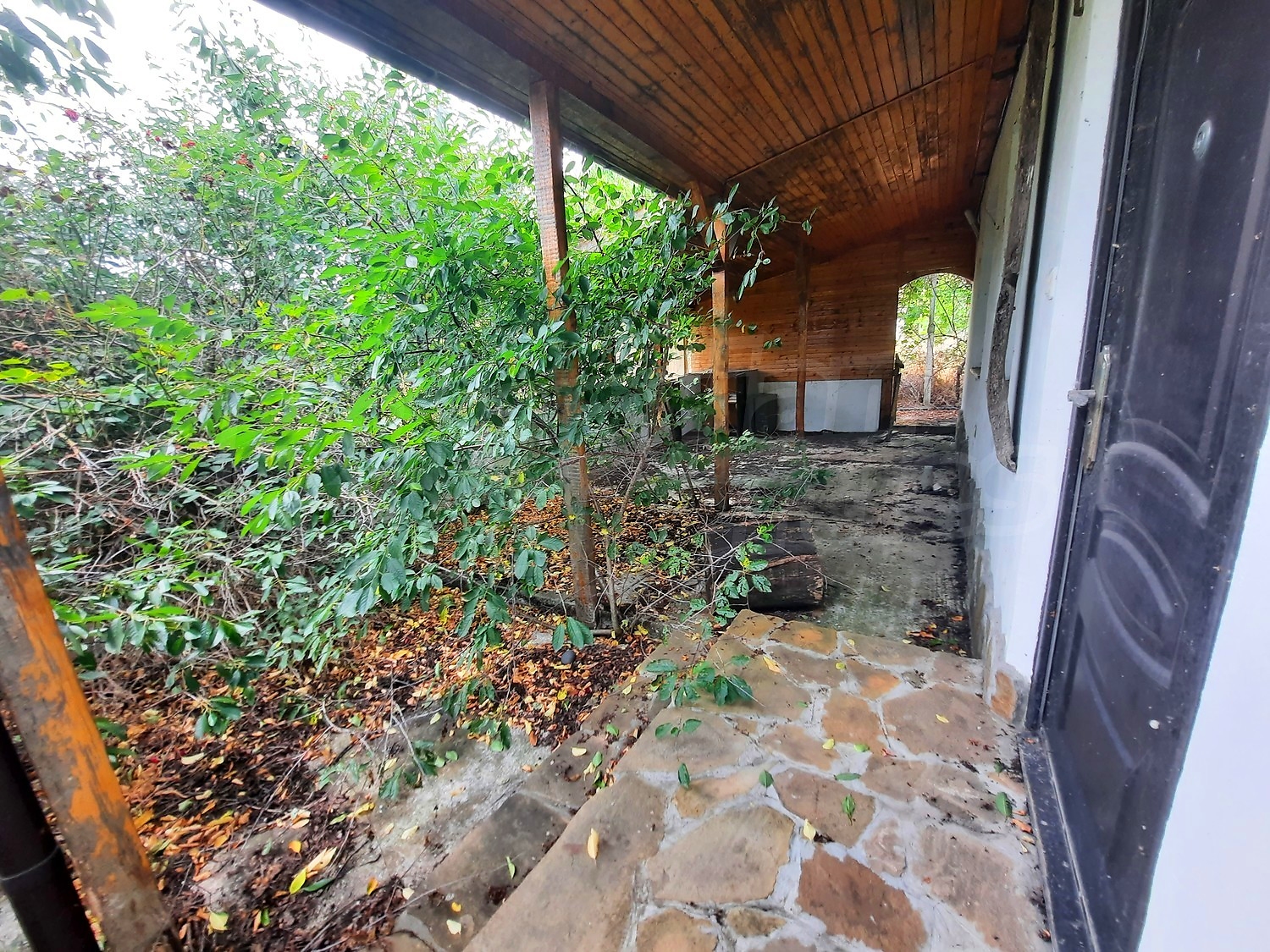 Gallery Picture 15