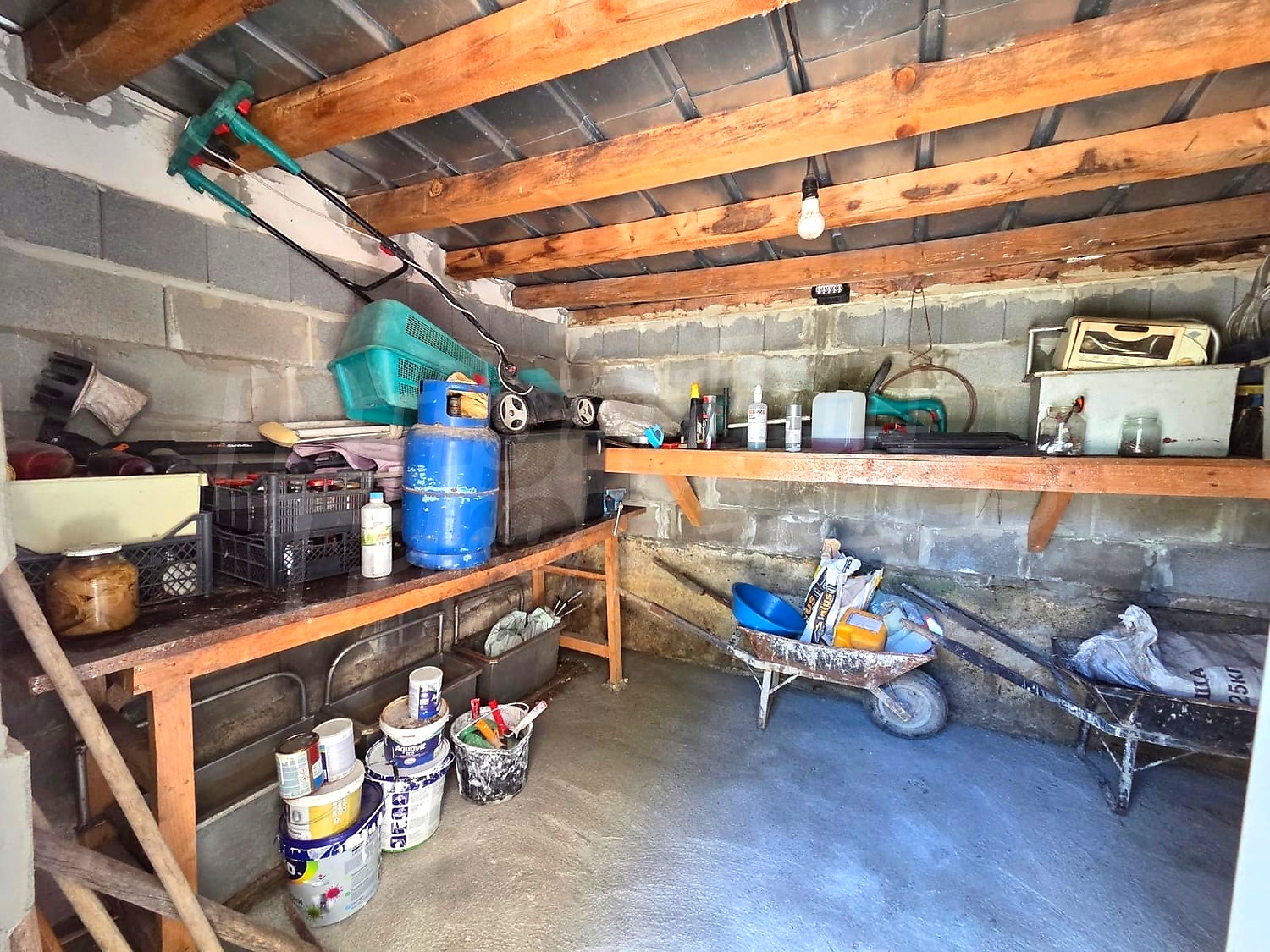 Gallery Picture 49