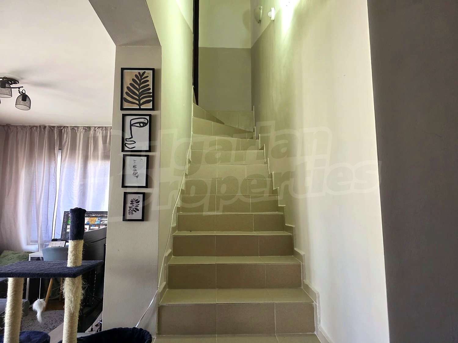 Gallery Picture 10
