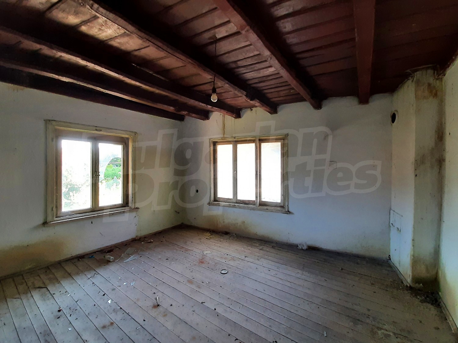 Gallery Picture 11