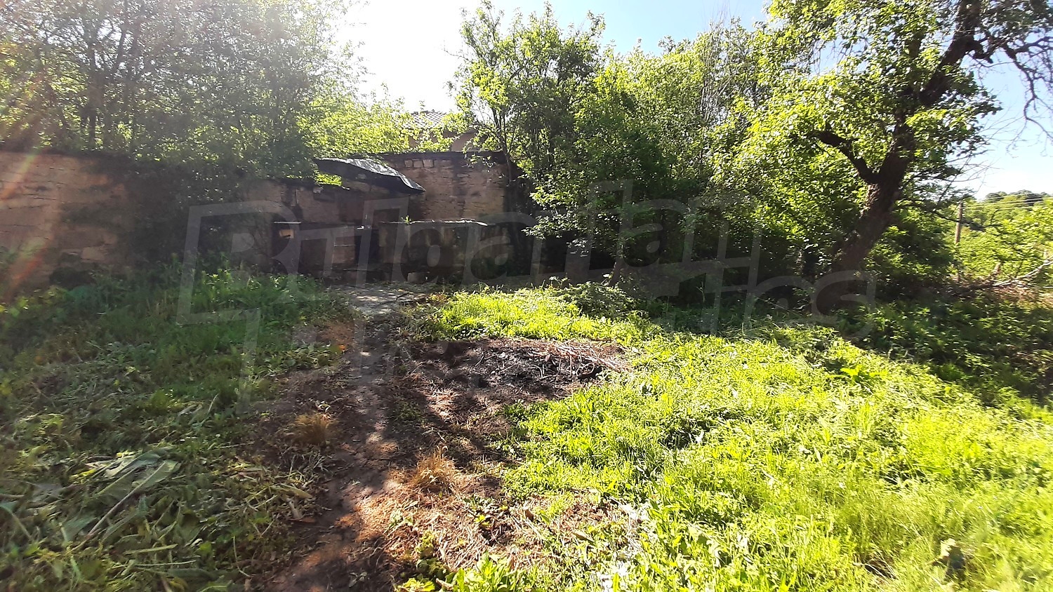 Gallery Picture 15