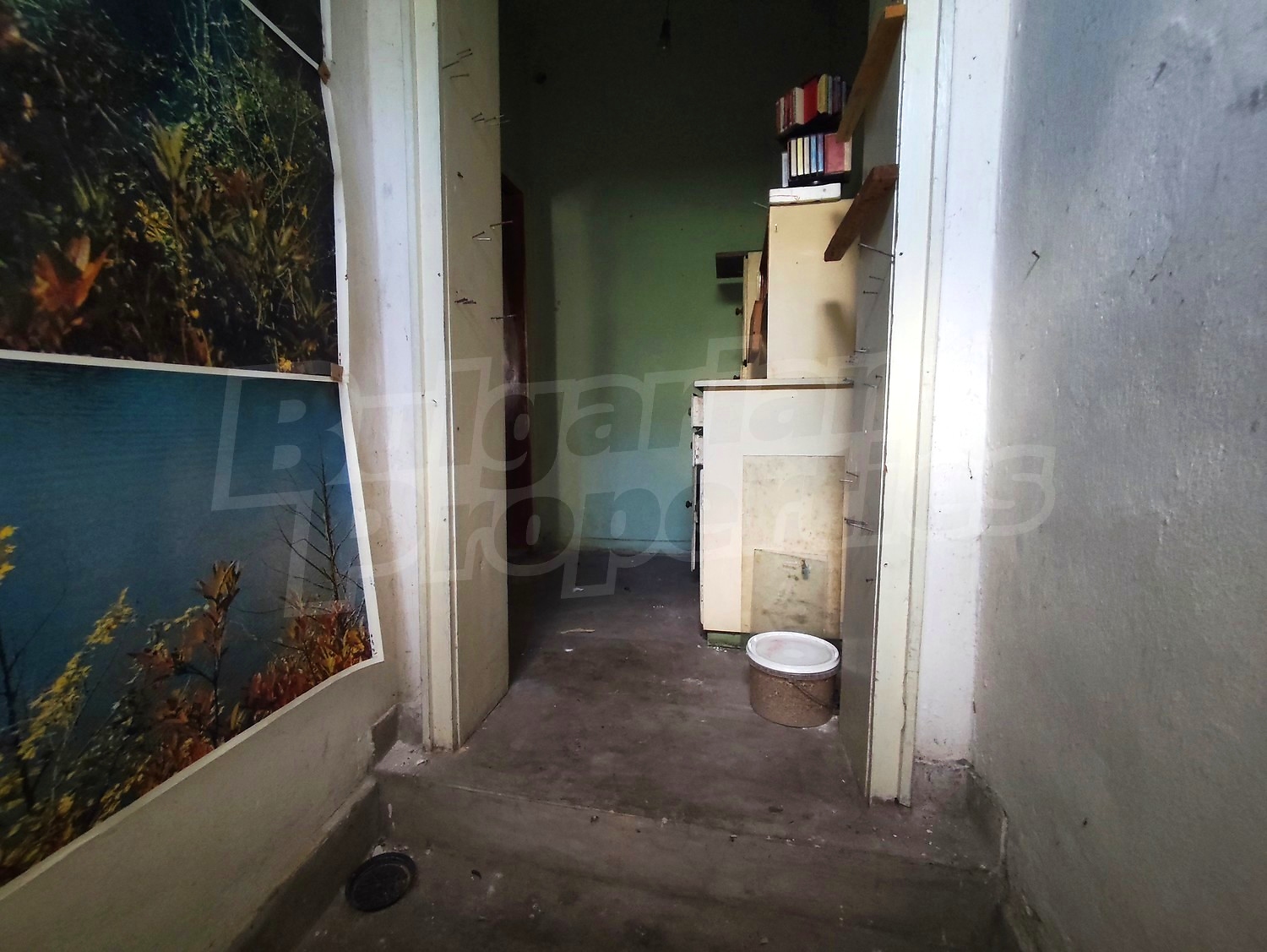 Gallery Picture 17