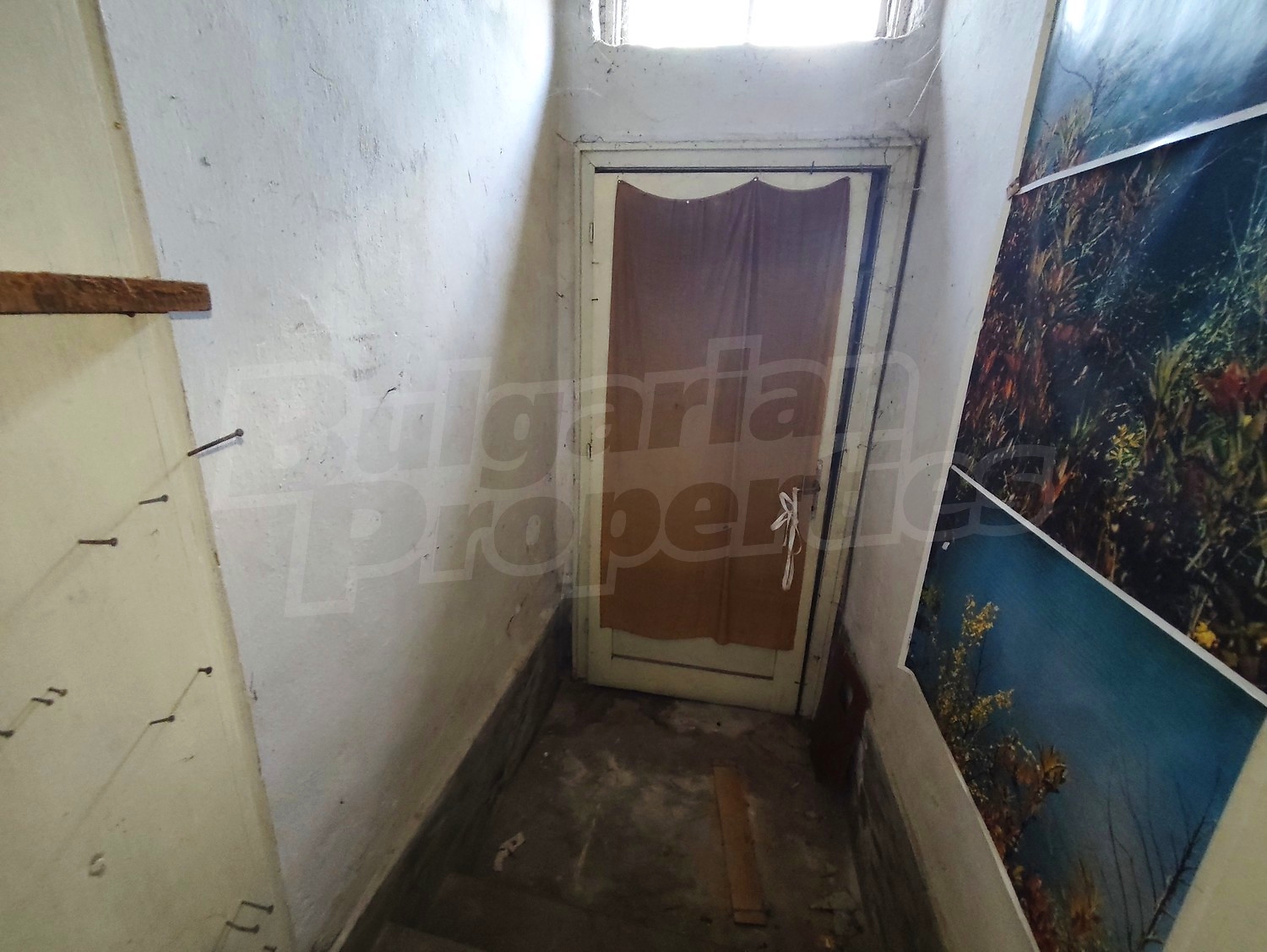 Gallery Picture 3