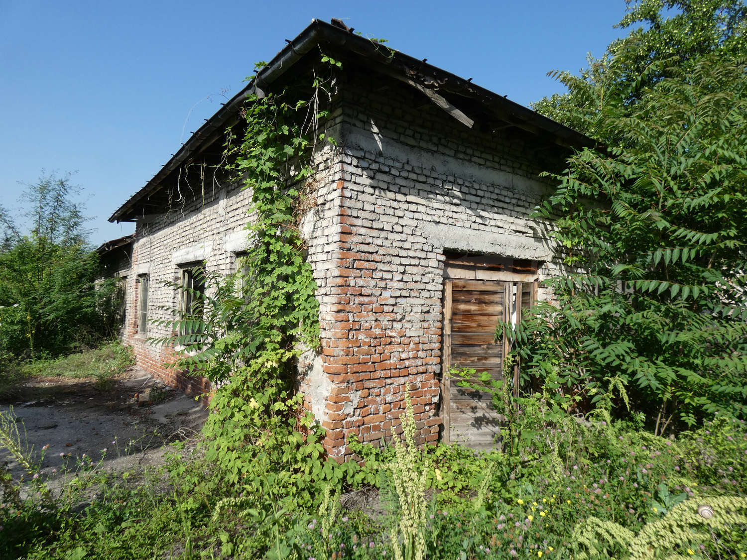 Gallery Picture 41