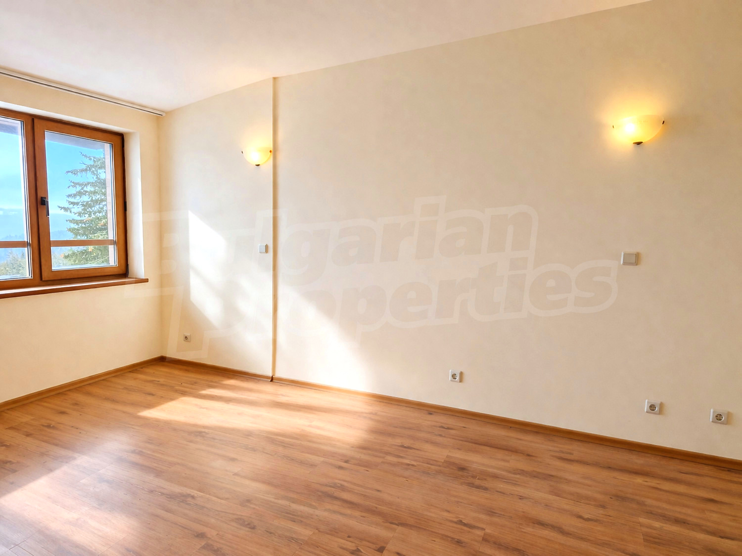 Gallery Picture 2