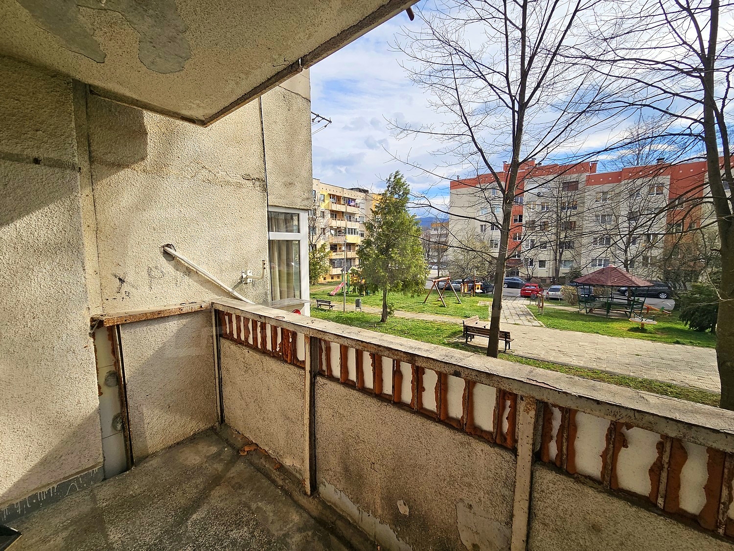 Gallery Picture 17