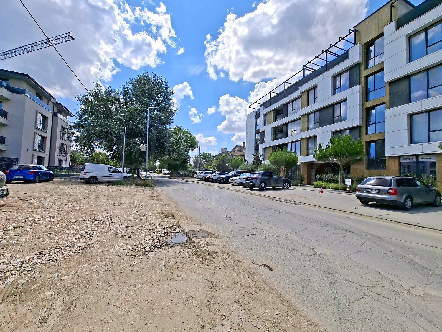 Gallery Picture 10