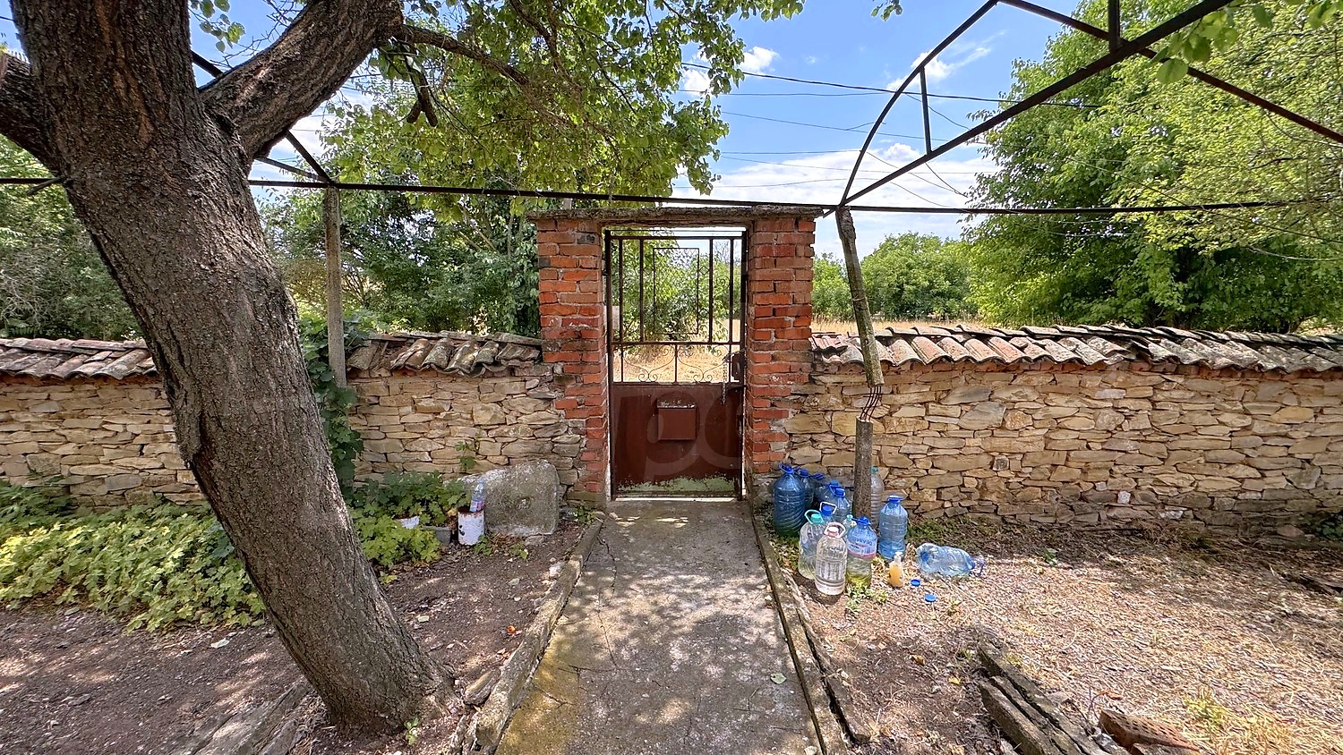 Gallery Picture 36