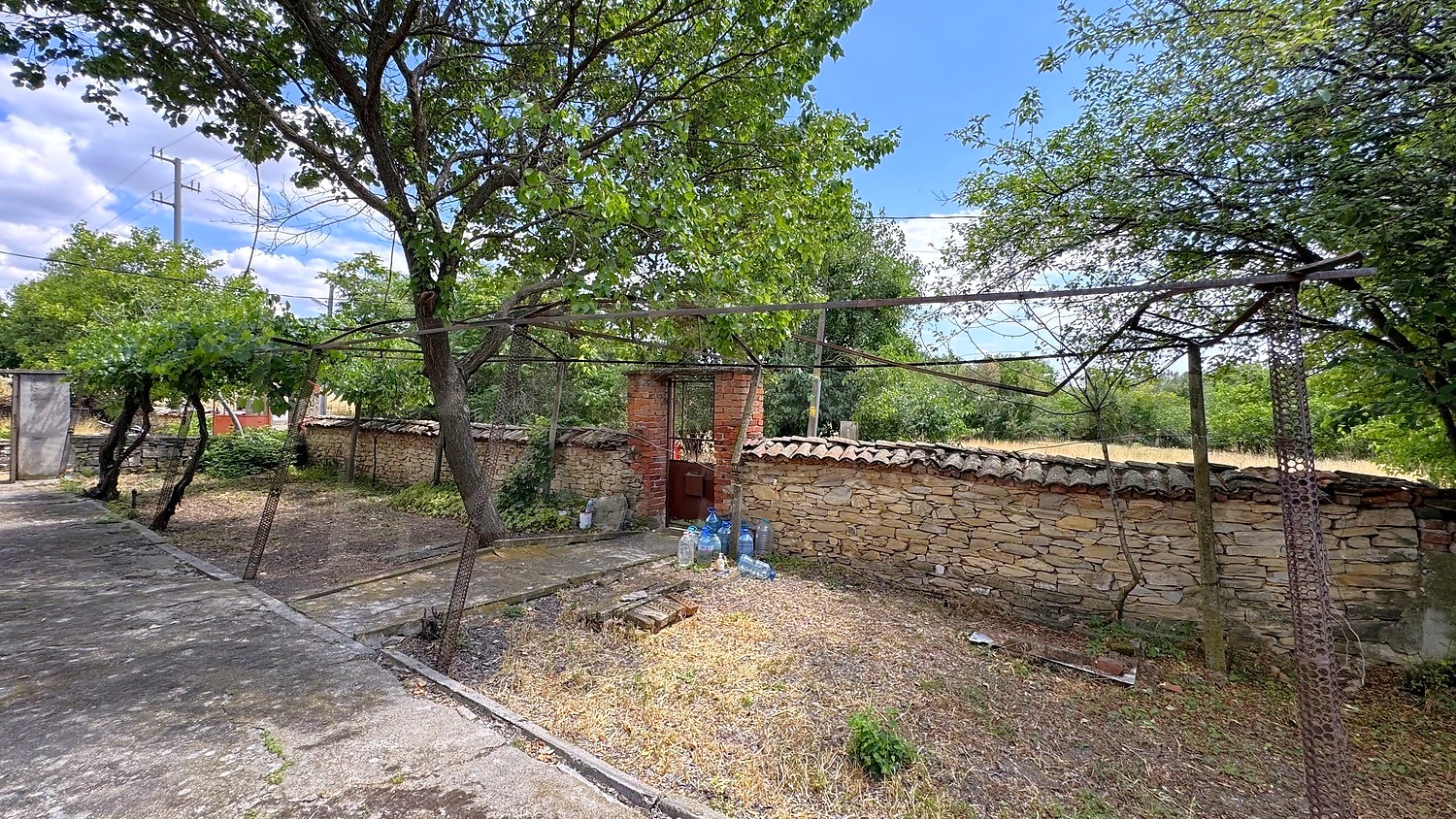 Gallery Picture 38