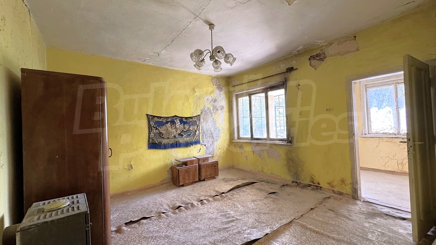 Gallery Picture 23