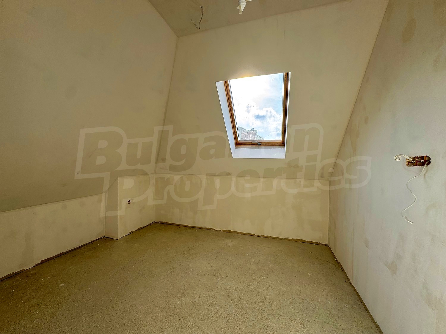 Gallery Picture 9