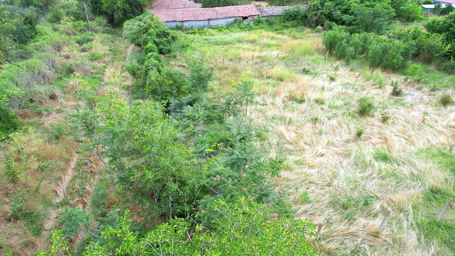 Gallery Picture 7