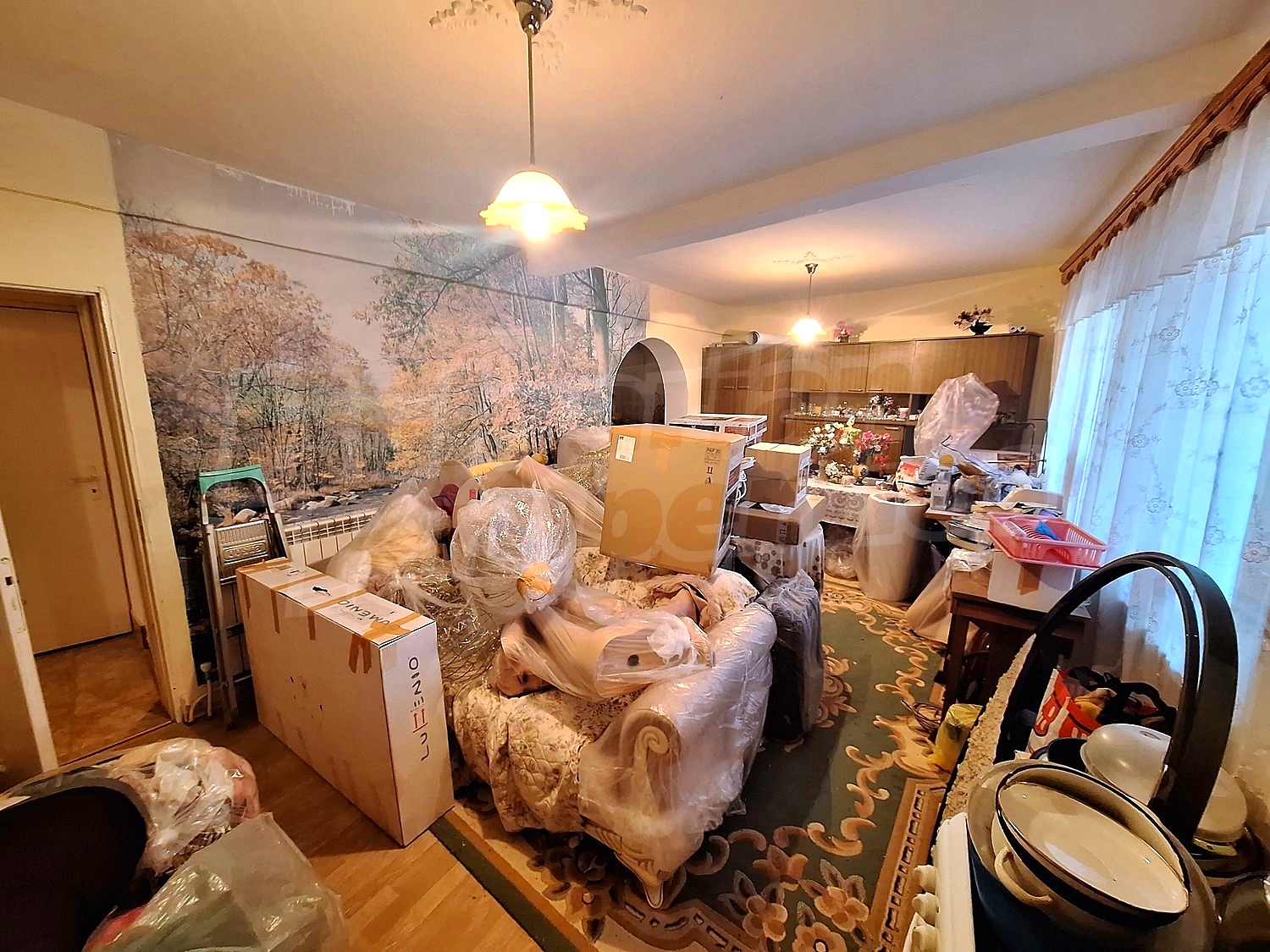Gallery Picture 10