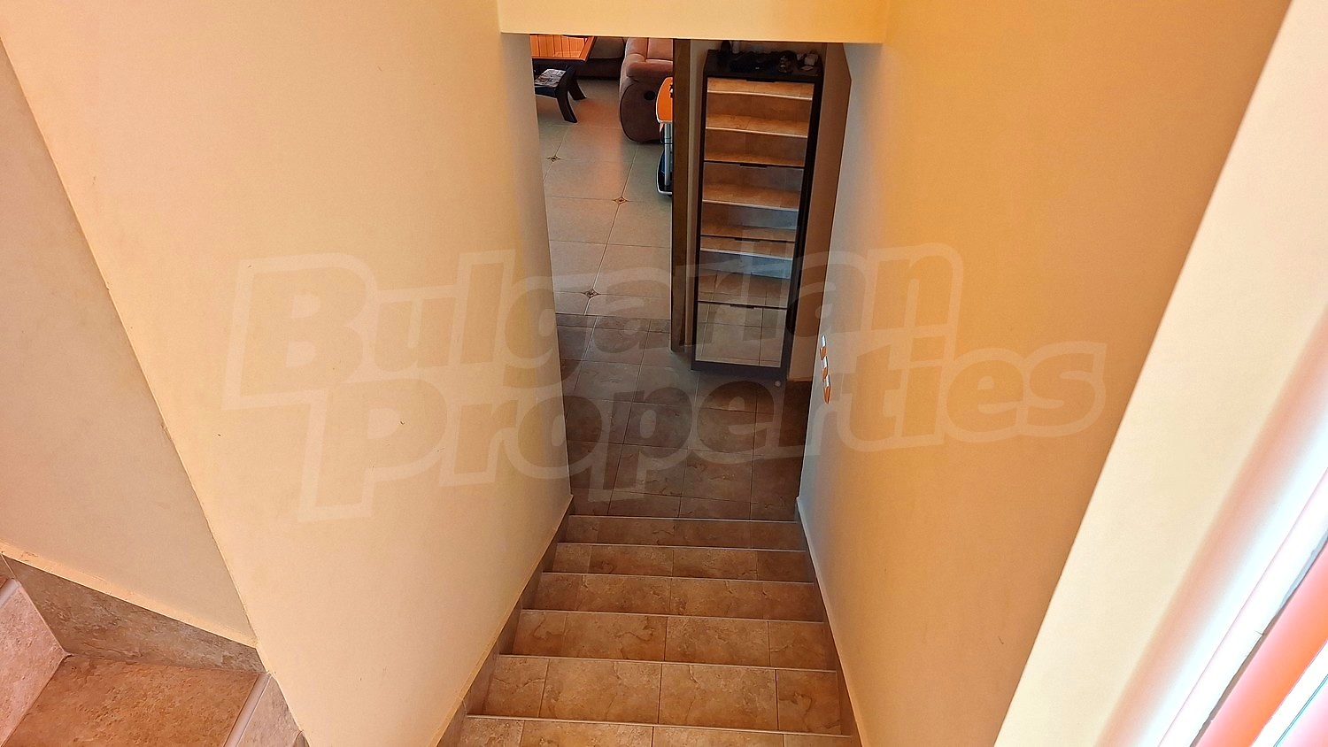 Gallery Picture 34