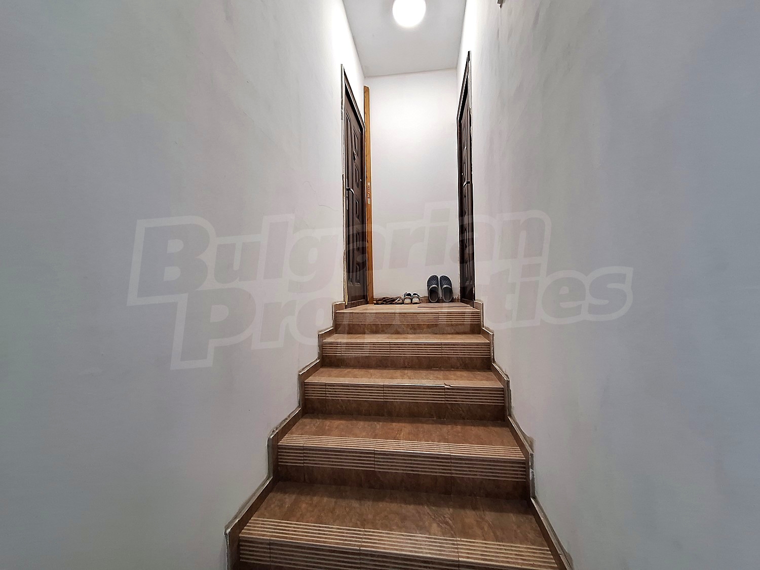 Gallery Picture 11
