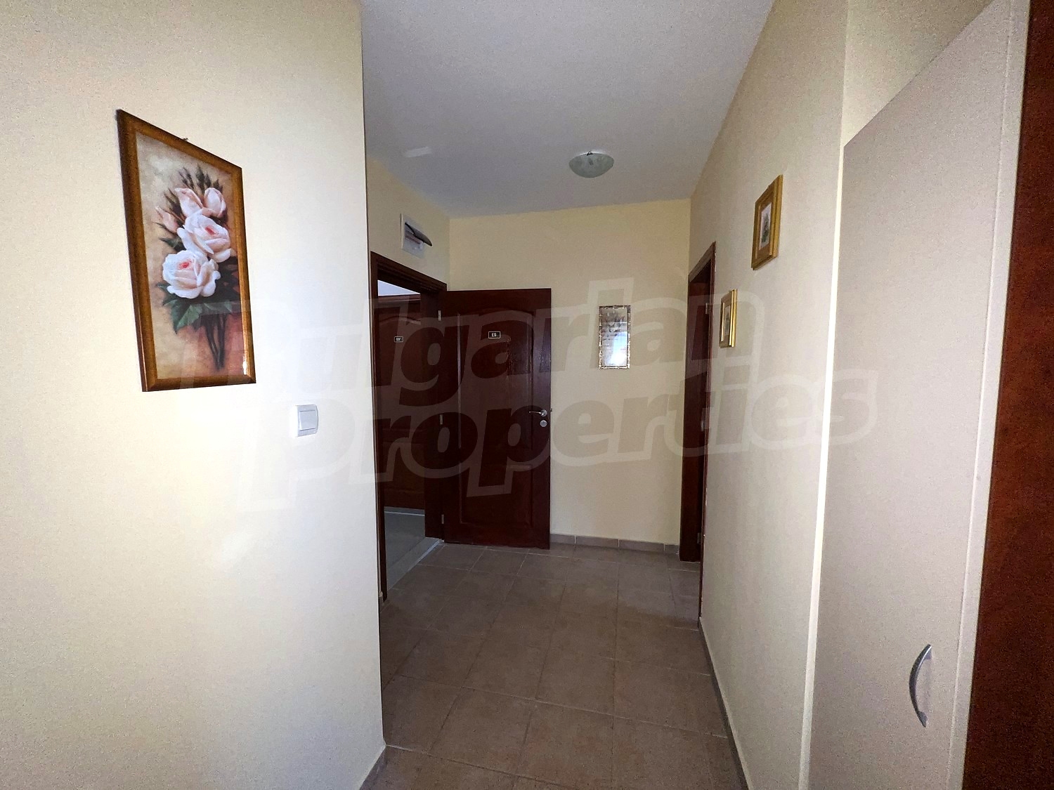 Gallery Picture 27
