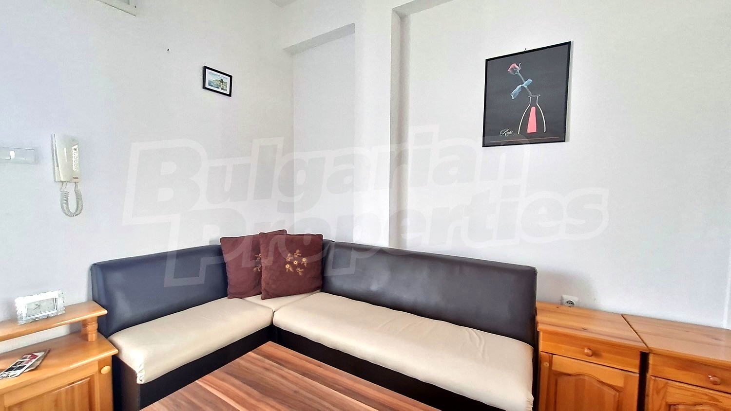 Gallery Picture 11